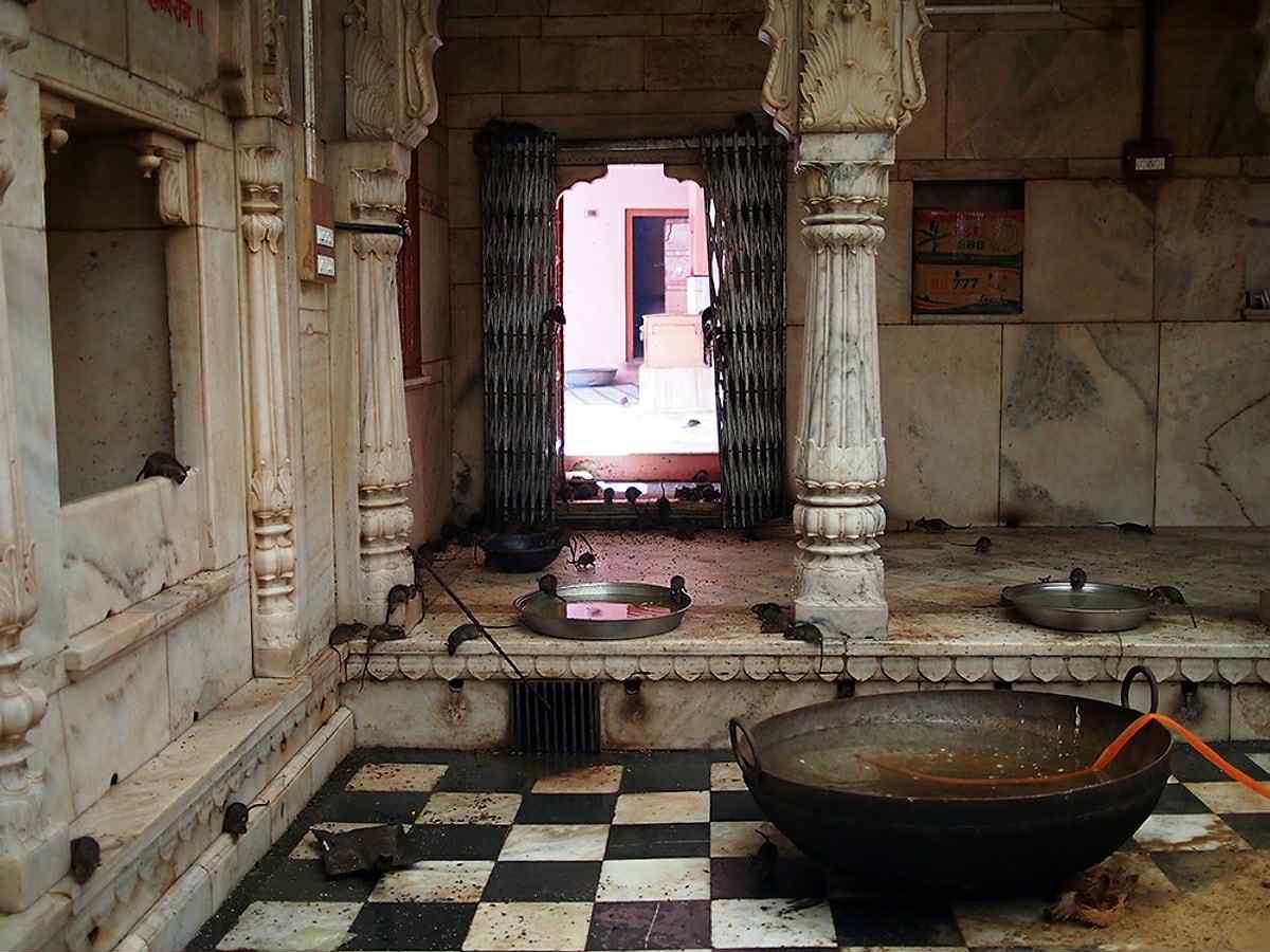 Gallery image 2