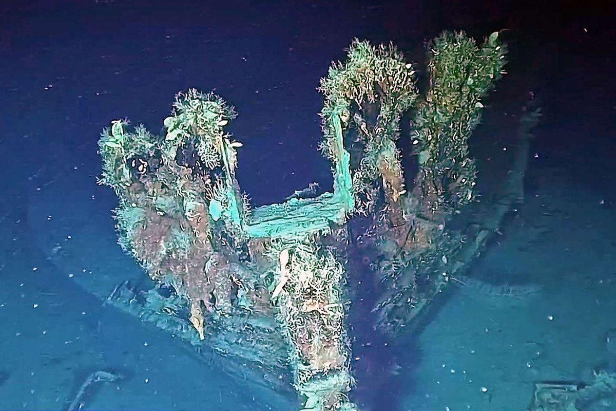 Gallery image 1