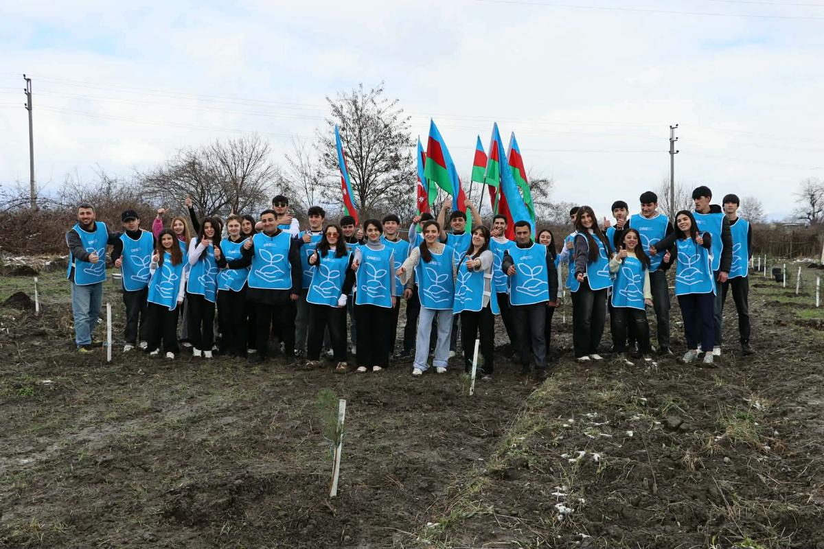 Gallery image 10