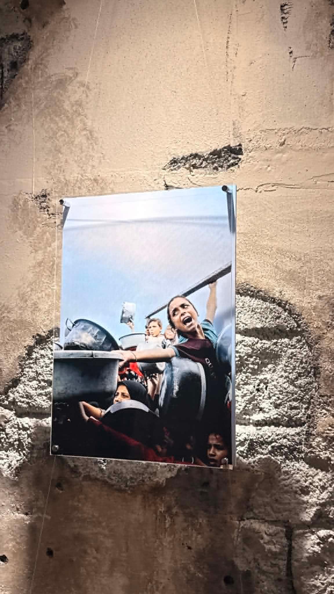 Gallery image 13