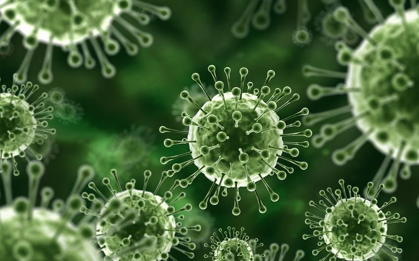 Yeni pandemiya xofu yaradan iddialar doğru deyil - Nipah virusu 1998-ci ildən bəri var Yeni pandemiya xofu yaradan iddialar doğru deyil - Nipah virusu 1998-ci ildən bəri var