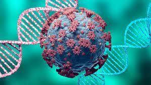 Koronavirus niyə bu qədər çox mutasiya edir? - İZAH Koronavirus niyə bu qədər çox mutasiya edir? - İZAH