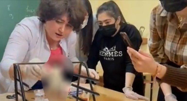 Nazirlikdən qurbağa ilə dərsdə təcrübə keçirilməsi görüntülərinə REAKSİYA Nazirlikdən qurbağa ilə dərsdə təcrübə keçirilməsi görüntülərinə REAKSİYA