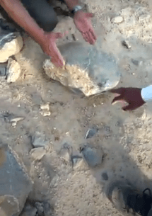 Azərbaycanlı Məmmədpaşanı Afrikada niyə öldürdülər?: “Onlar çox yaşamır” – TƏFƏRRÜATLAR Azərbaycanlı Məmmədpaşanı Afrikada niyə öldürdülər?: “Onlar çox yaşamır” – TƏFƏRRÜATLAR