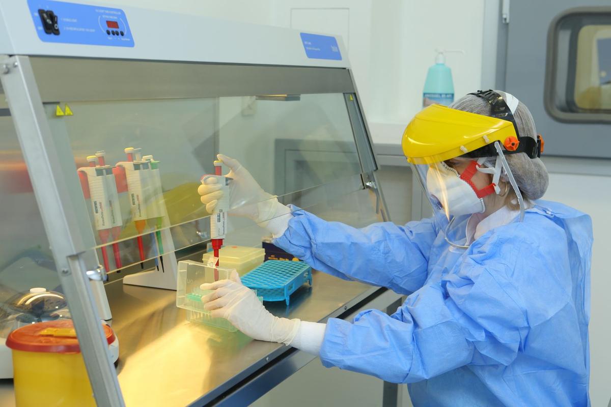 ÜST meymunçiçəyi ilə bağlı HƏYƏCAN TƏBİLİ çaldı ÜST meymunçiçəyi ilə bağlı HƏYƏCAN TƏBİLİ çaldı