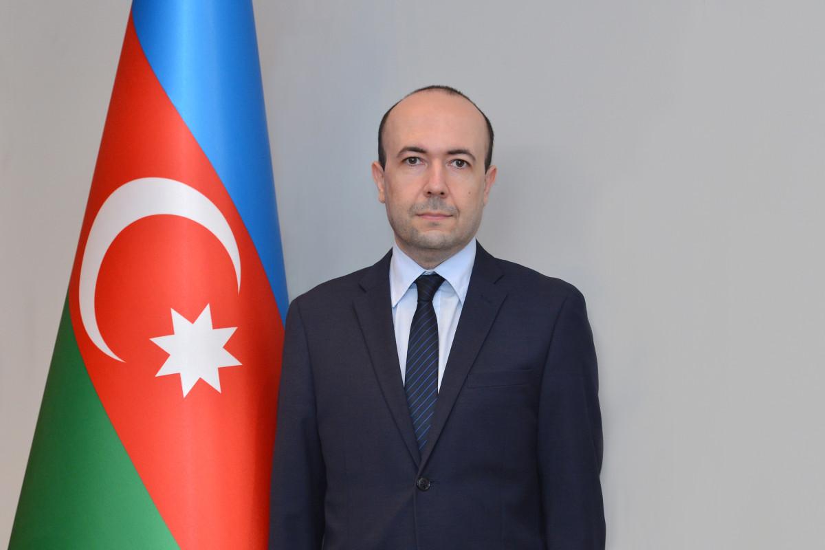 Xarici işlər nazirinin müavini Avstriyaya işgüzar səfər etdi