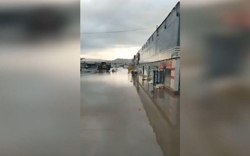 \"Binə” və “Sədərək”də subasmadan zərər çəkənlər sığorta ödənişi alacaq - RƏSMİ
