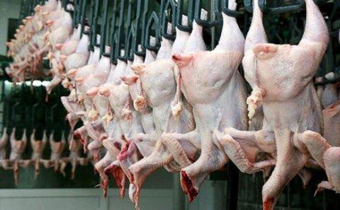 \"Toyuq ətindən hazırlanmış farşlara sümük qatılır, öldürücü bakteriya və...\" - Marketlərdən pulla aldığımız TƏHLÜKƏ \"Toyuq ətindən hazırlanmış farşlara sümük qatılır, öldürücü bakteriya və...\" - Marketlərdən pulla aldığımız TƏHLÜKƏ