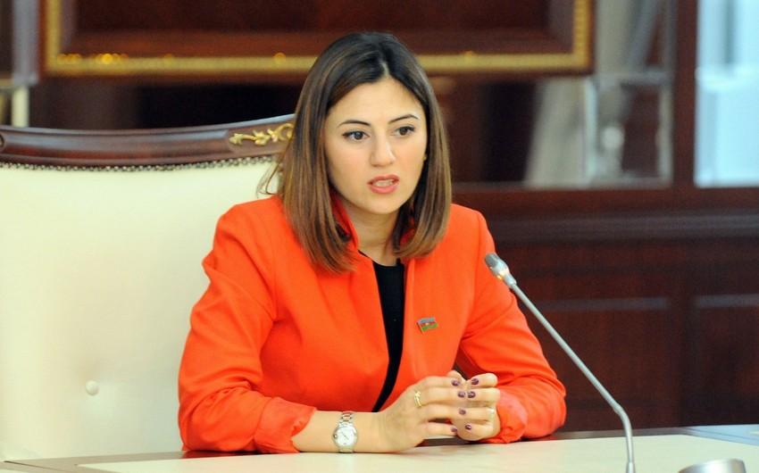 Milli Məclisin deputatı AŞPA-nın komitə iclasında iştirak edəcək