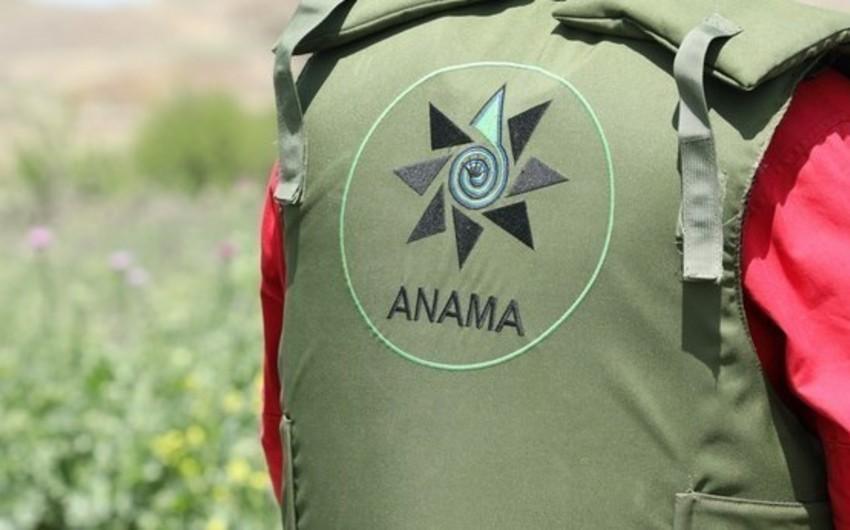 ANAMA-nın avtobusu Laçında qəzaya düşdü, 3 nəfər yaralandı