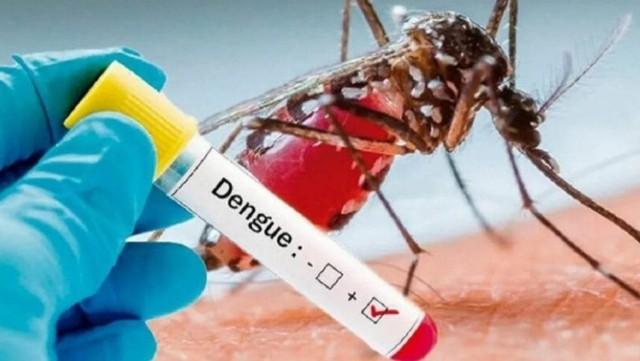 Banqladeşdə dang qızdırmasından ölənlərin sayı 1060 nəfərə ÇATDI