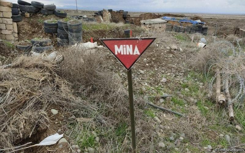 ANAMA: 98 min ha-dan artıq ərazi minalardan təmizlənib