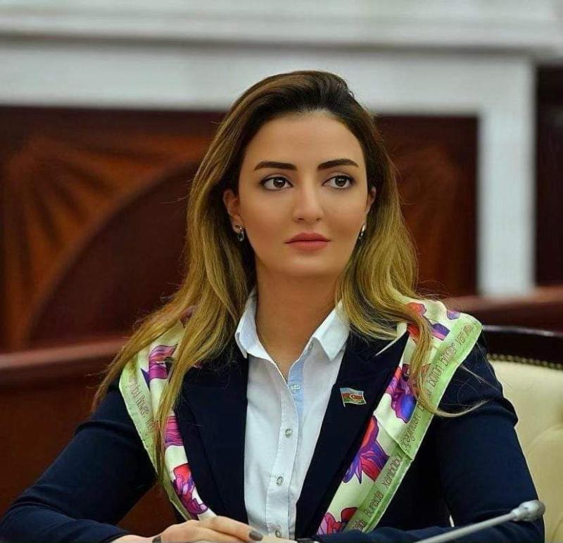 “Azərbaycan müasir və yüksək səviyyəli şəhərsalma nümunəsi sərgiləyir”