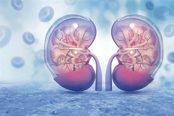 Tanınmış aparıcı böyrəyini atasına verdi