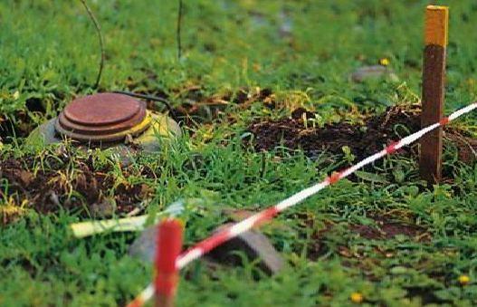 Mina qurbanlarının sayı 333 nəfərə çatdı