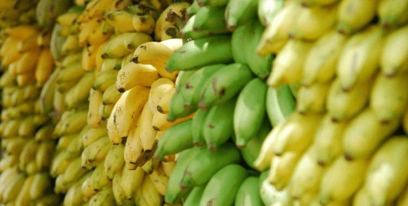Yaşıl, yoxsa sarı banan? - Hansı arıqlamağa kömək edir?