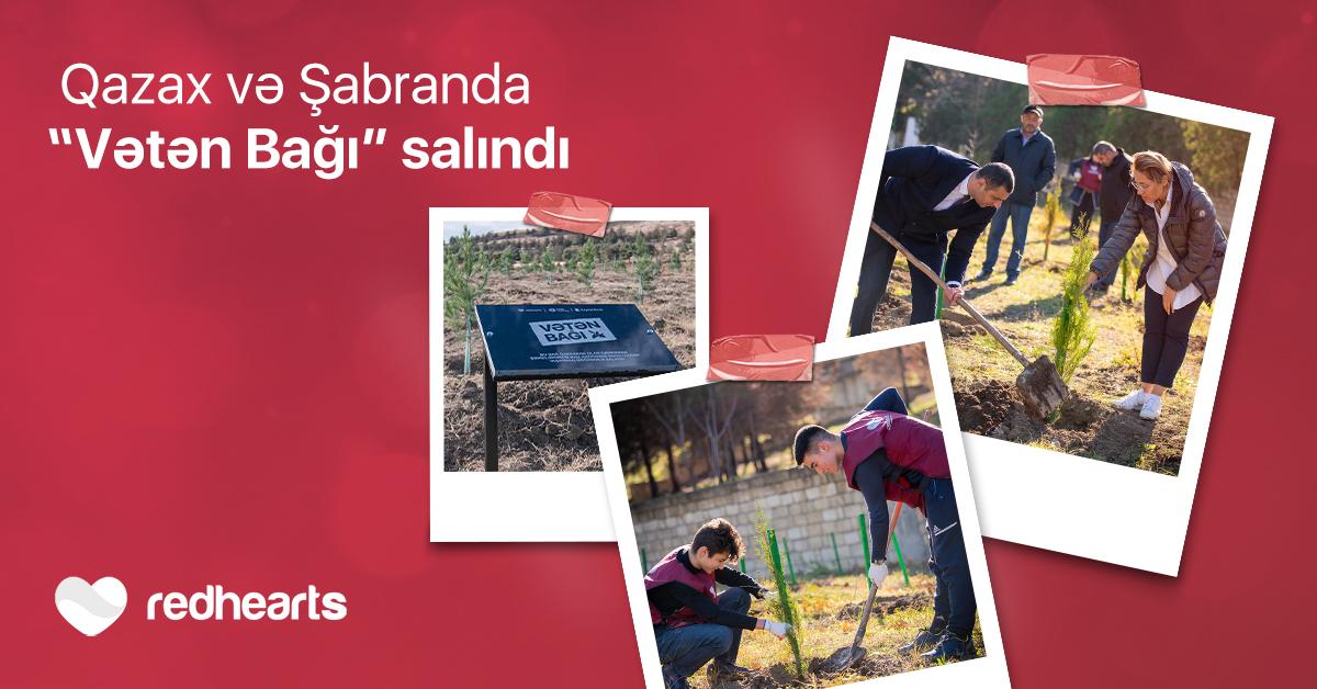 Qırmızı Ürəklər Fondunun dəstəyi ilə iki rayonda “Vətən Bağı” salındı