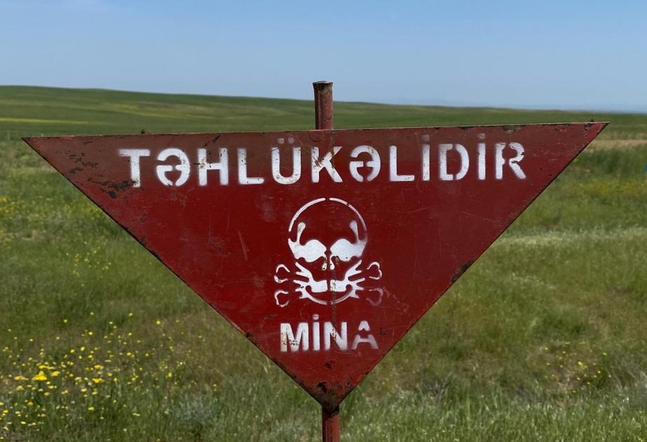 Yaralı ANAMA əməkdaşı Gəncəyə təxliyə olundu