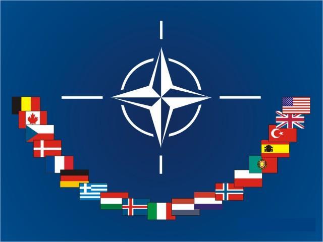 NATO ölkələrinin hərbi xərcləri nə qədərdir? - ARAŞDIRMA