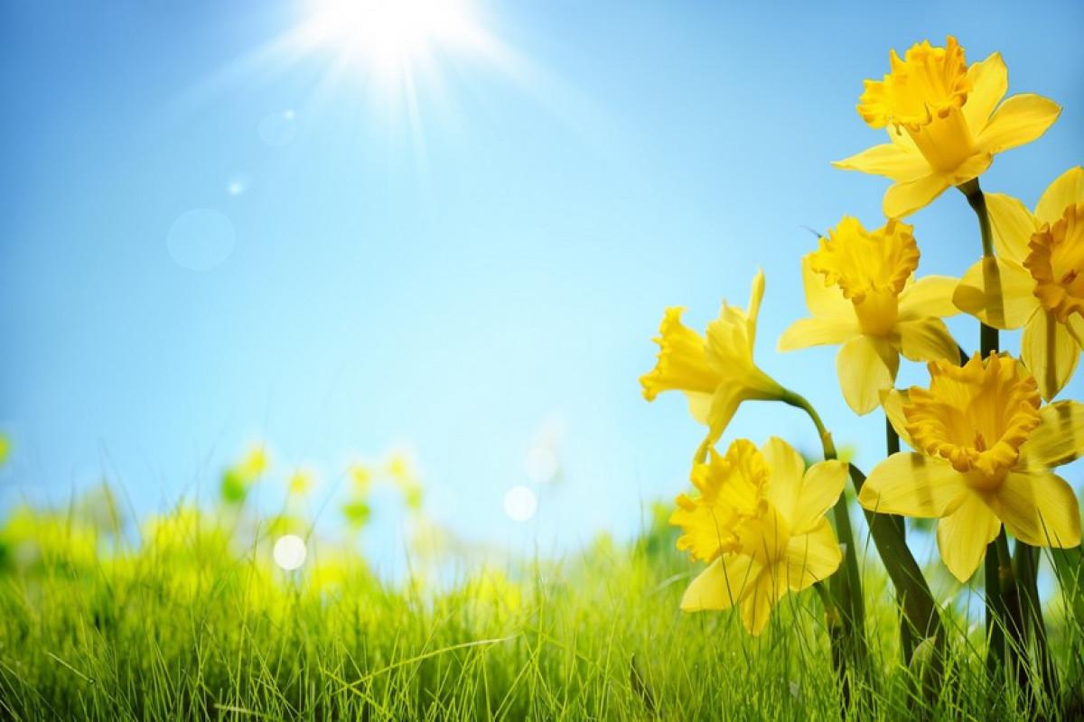 Bu gün temperatur iqlim normasından YÜKSƏKDİR