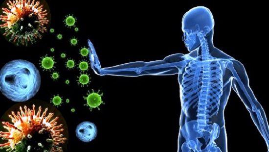 Bu məhsullar immuniteti gücləndirir - SİYAHI Bu məhsullar immuniteti gücləndirir - SİYAHI