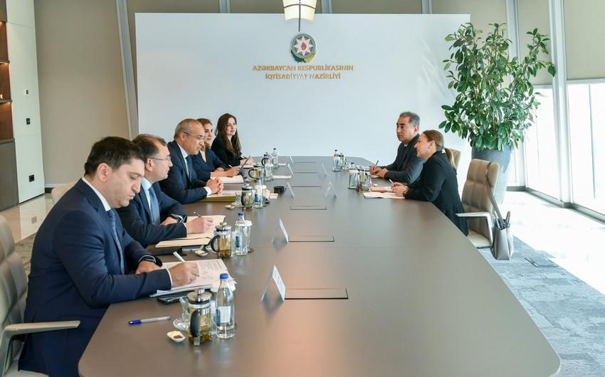Azərbaycan ilə BMT arasında COP29 bağlı MÜZAKİRƏLƏR APARILDI - FOTO