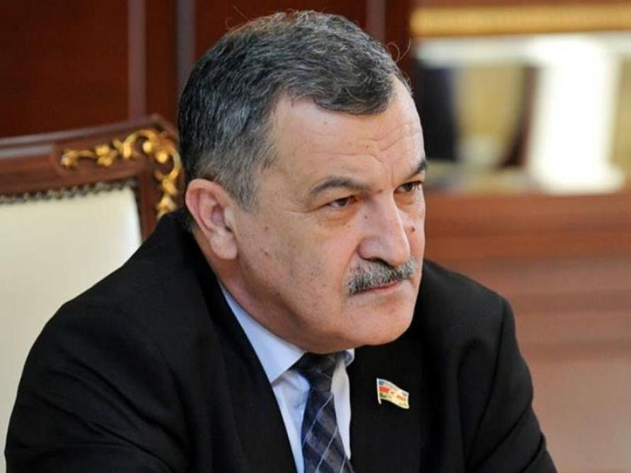“Beynəlxalq aləmə Azərbaycan haqqında düzgün informasiyalar çatdırılmalıdır\" - Deputat