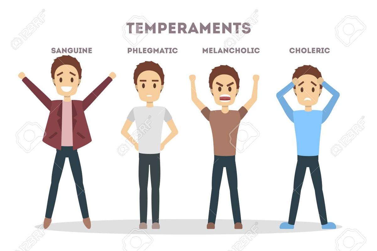 Soyuqqanlı, çevik, inadkar, küsəyən... - Bəs siz hansı temperament tipinə aidsiniz? Soyuqqanlı, çevik, inadkar, küsəyən... - Bəs siz hansı temperament tipinə aidsiniz?