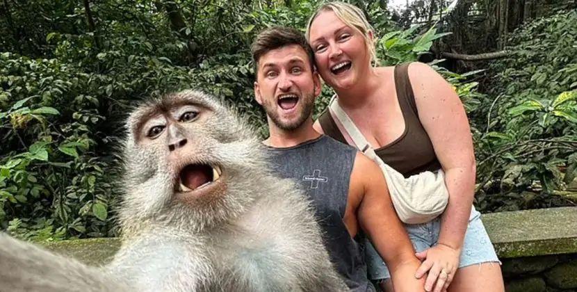 Meymunun turistlərlə çəkdirdiyi selfi gündəm oldu - FOTO