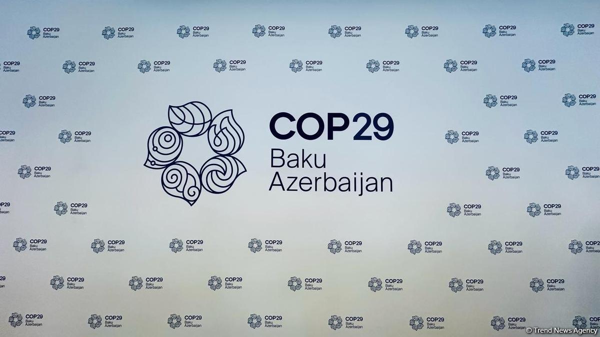 COP29-un rəsmi saytı istifadəyə VERİLDİ