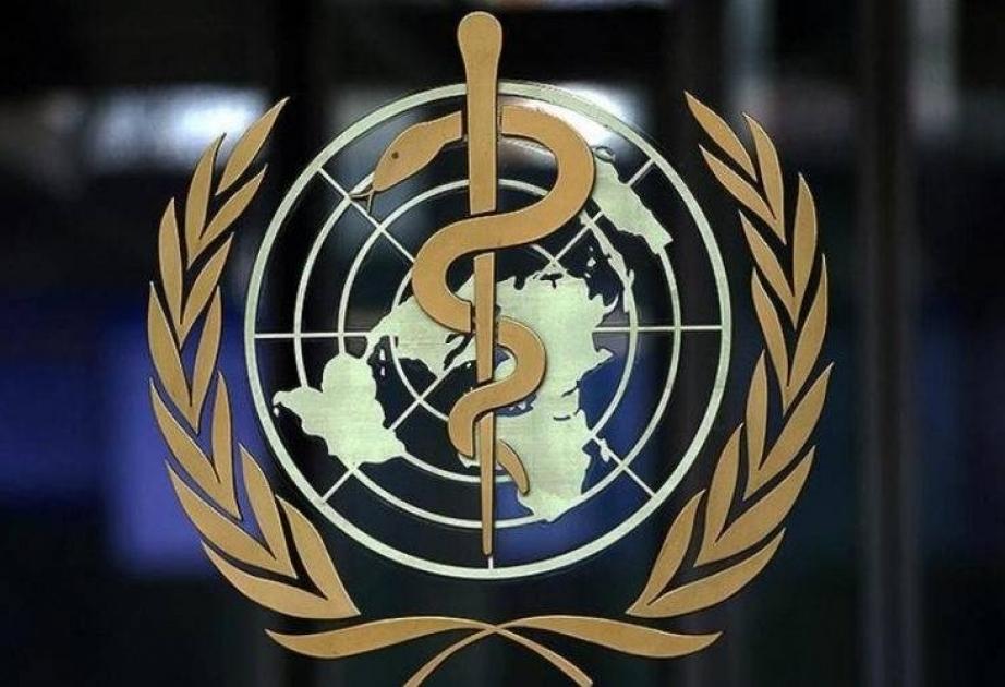 \"Bu qəzalarda hər il 1,2 milyon insanı ölür\" - ÜST
