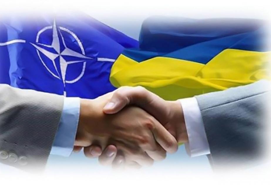 NATO Ukraynaya xüsusi nümayəndə təyin etmək niyyətindədir