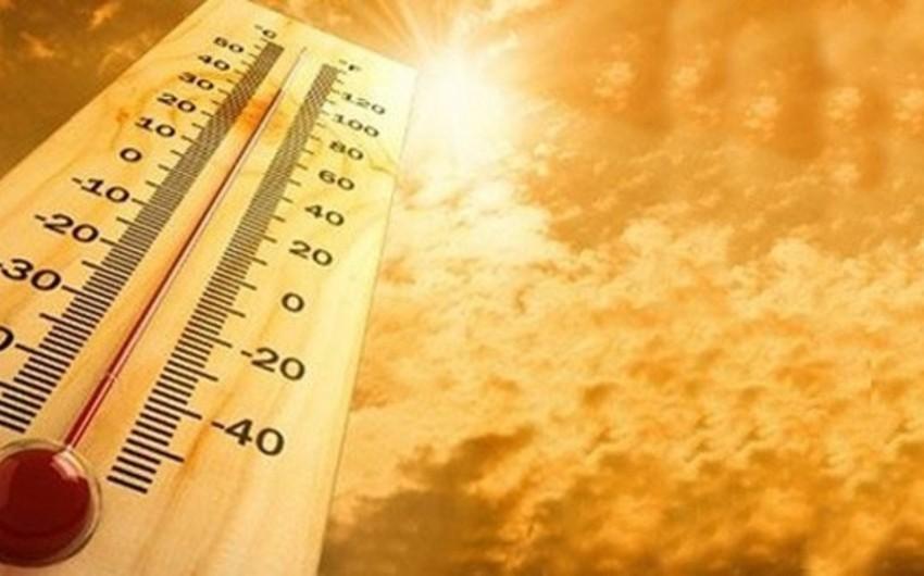 Hindistanda istilər səbəbindən sutkada azı 85 nəfər ÖLDÜ