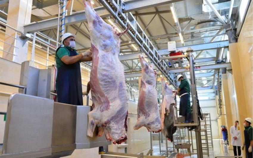 Qurban bayramına görə heyvan kəsimi və satışı məntəqələrində monitorinqlər KEÇİRİLİR