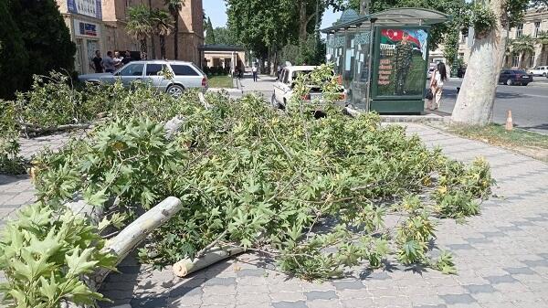 Güclü külək bu iki rayonda fəsadlar törətdi
