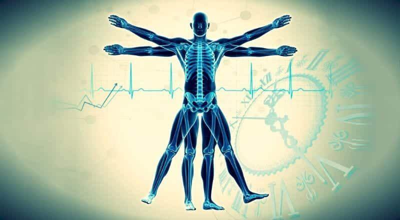 İnsan orqanizmində hansı saatda nə baş verir? İnsan orqanizmində hansı saatda nə baş verir?