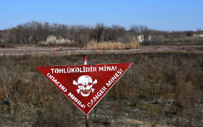 İyun ayında 549 mina zərərsizləşdirildi