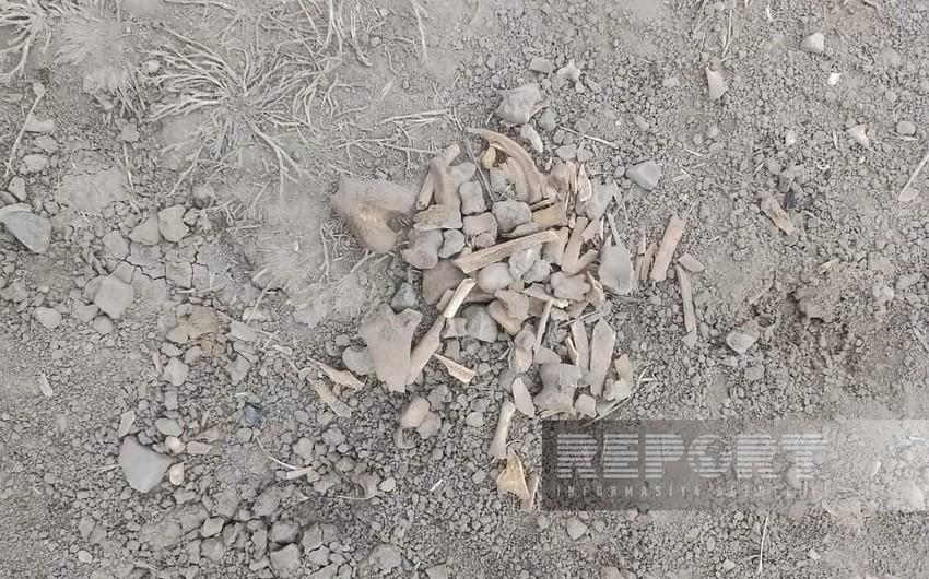 Cəlilabadda yağış suları tarixi hesab edilən məzarı üzə ÇIXARDI