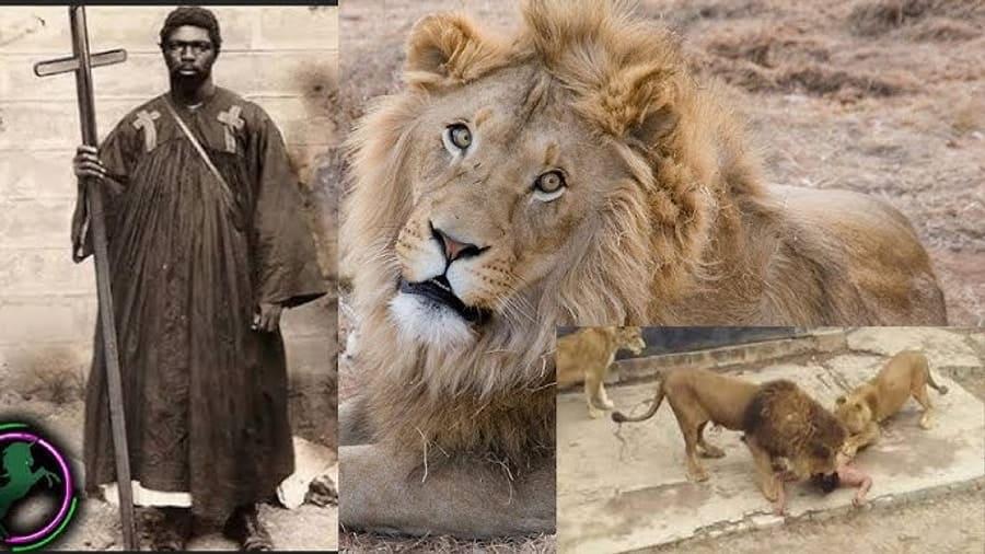 Möcüzə göstərmək istəyərkən şirlərin hücumuna məruz qalan adam: Daniel Abodunrin