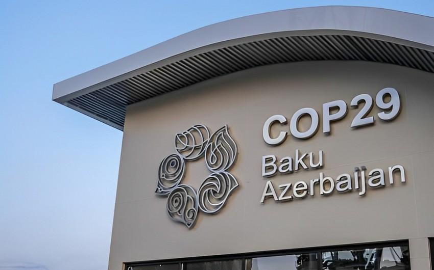INTOSAI-ın növbəti dövr üçün sədri COP29-da iştirak edəcək