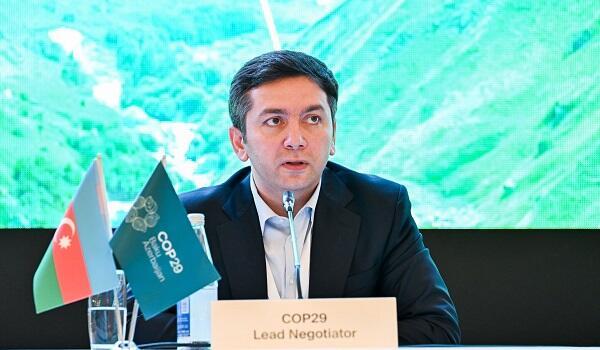 Həll olunmamış məsələlər üzərində iş gedir - COP29 sözçüsü Həll olunmamış məsələlər üzərində iş gedir - COP29 sözçüsü