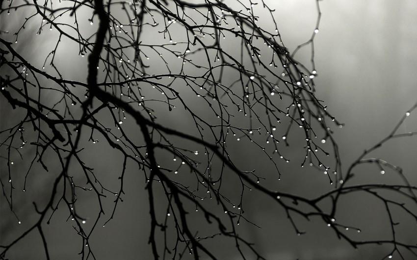 Hava kəskin dəyişəcək, temperatur 10 dərəcə aşağı enəcək - XƏBƏRDARLIQ