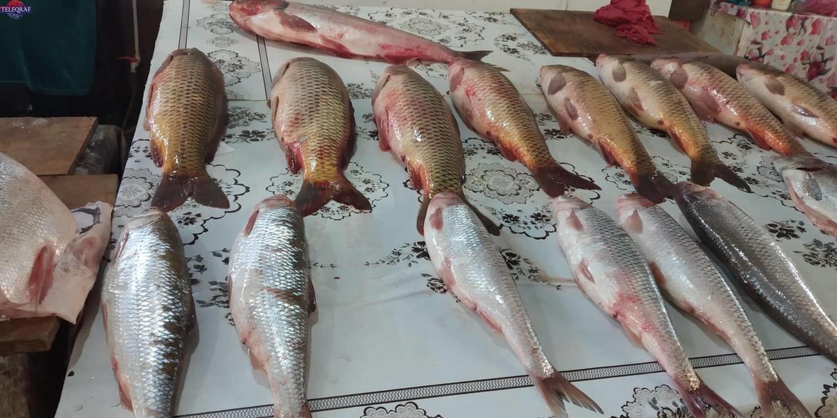 Balıq məhsullarının satışı üzrə ixtisaslaşmış bazarlar salınacaq