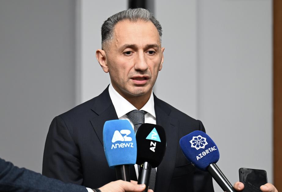 "Təyyarəyə kənar müdaxilə olub" - Rəşad Nəbiyev