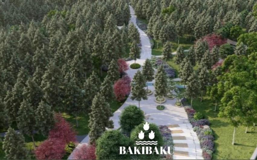 Yasamalda daha bir park salınır - FOTO Yasamalda daha bir park salınır - FOTO