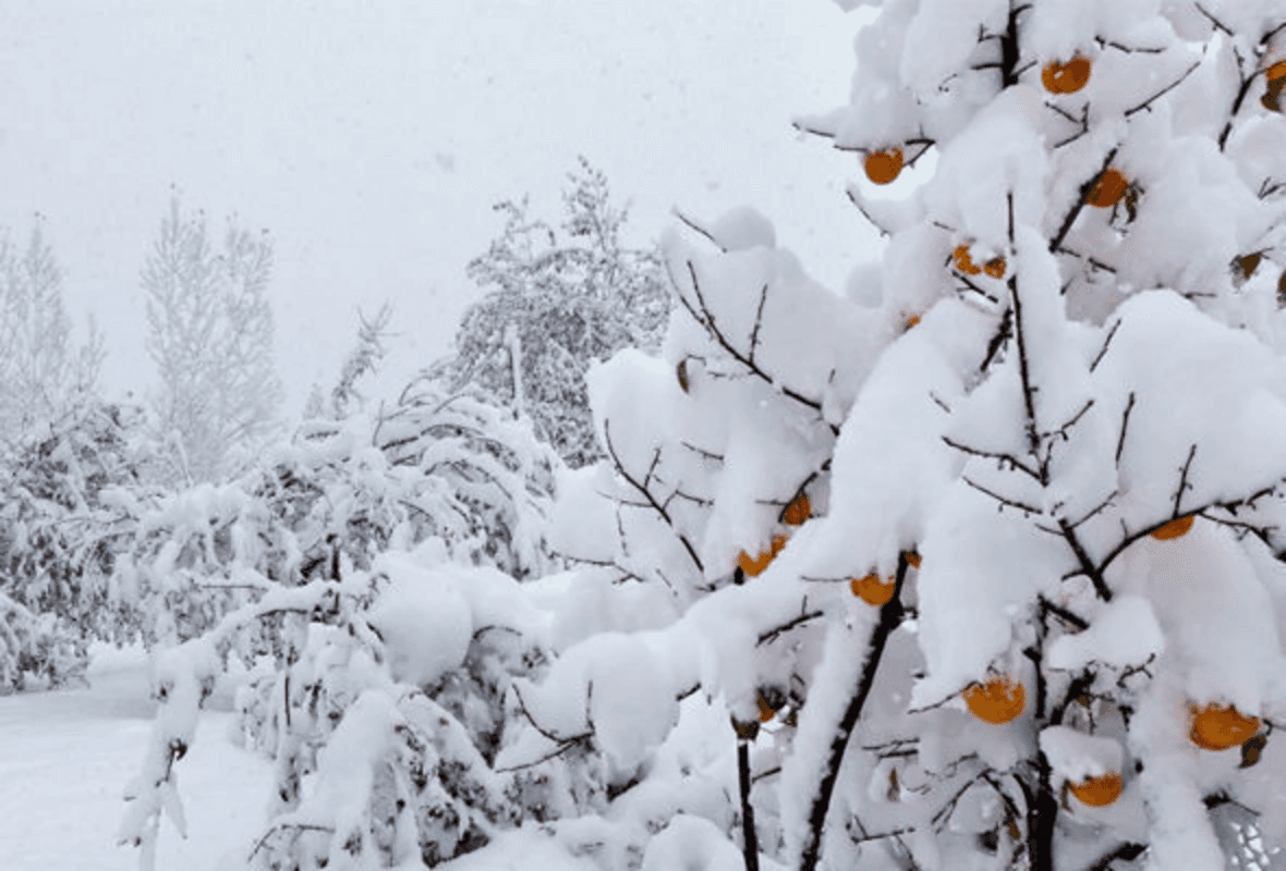 Temperatur normadan 7.5 dərəcə aşağıdır