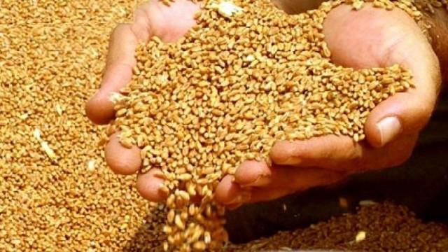 Ərzaq məhsullarını xaricdən neçəyə alırıq?