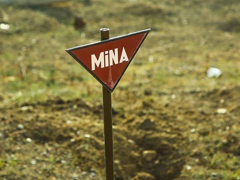 ANAMA-nın minaya düşən əməkdaşı şəhid övladı imiş - FOTO