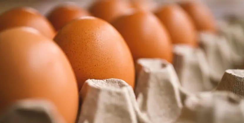 Ayda 5 milyard: İndoneziya yumurtaları ABŞ rüsumları ilə dəyişmək istəyir