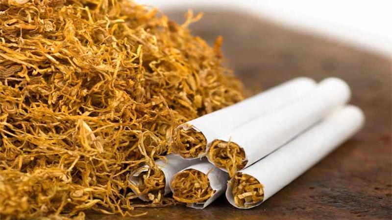 Siqaretə ömürlük qadağa – Yeni qaydalar